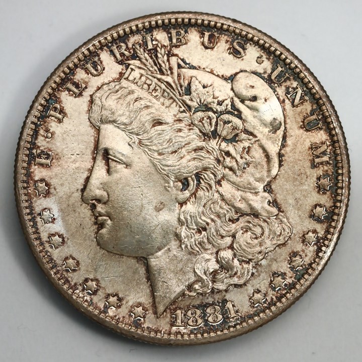 USA Morgan Dollar 1881 S Kv 0