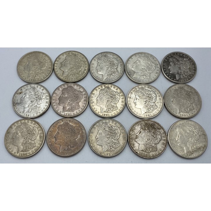 USA 15 Stk Morgandollar 1921