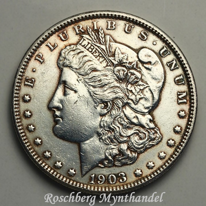 USA Morgan Dollar 1903 Kv 01, renset