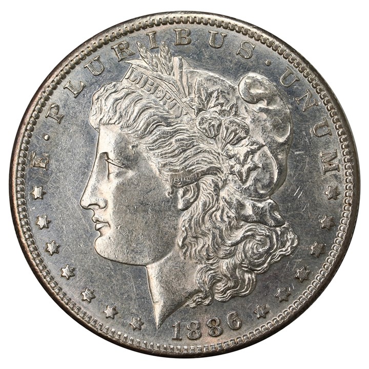 USA Morgan Dollar 1886 S Kv 0/01