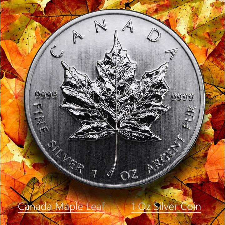 Canada Maple leaf  1 Oz sølv Tube 25 Stk UNC Tilfeldig år