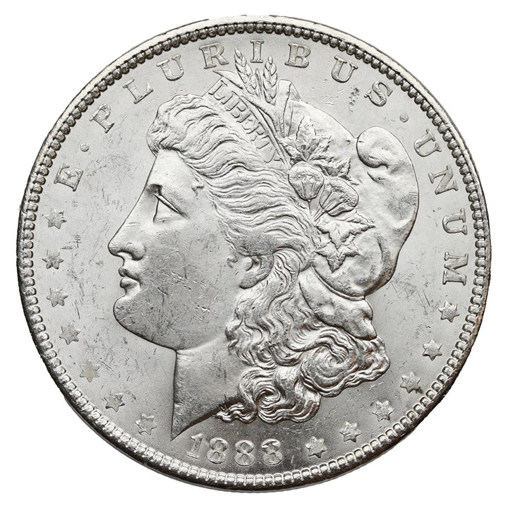 USA Dollar 1888 UNC