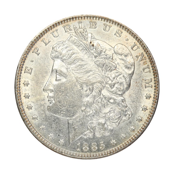 USA Morgan Dollar 1886 Kv 01