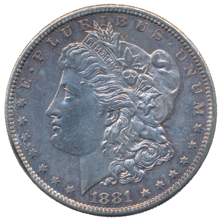 USA Dollar 1881 S UNC