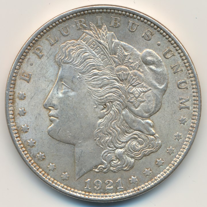 USA Morgandollar 1921 Kv g01