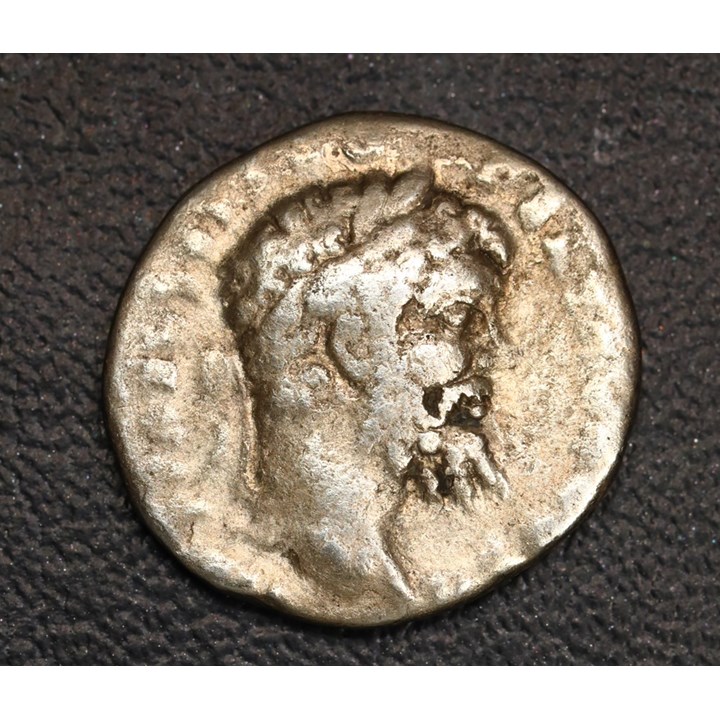Romerriket Septimus Severus (193-211) Denar Kv 1/1-