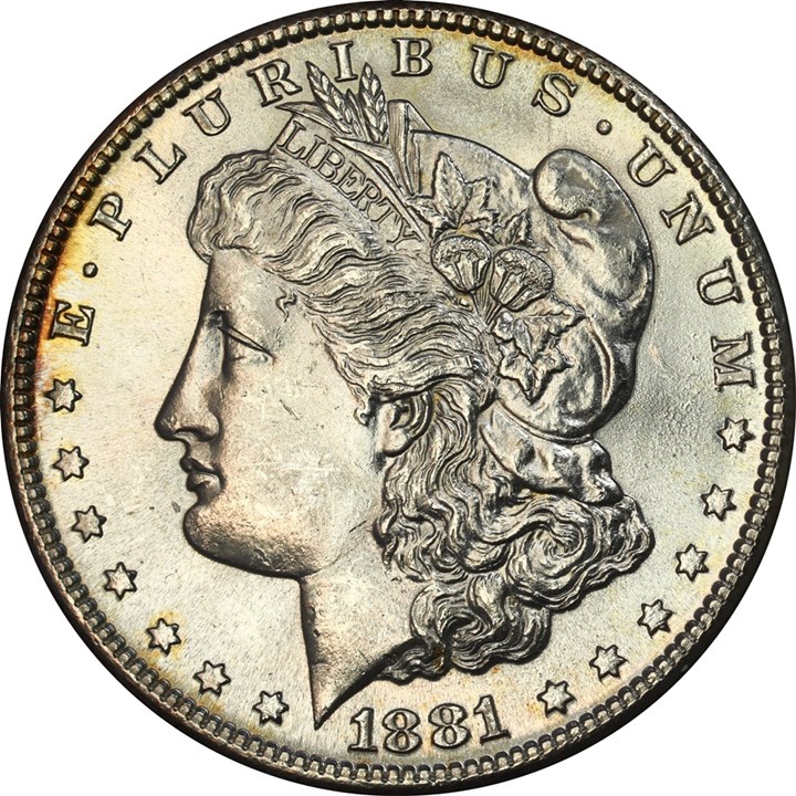 USA Morgan Dollar 1881 S Kv 0