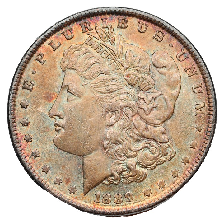 USA Dollar 1889 UNC