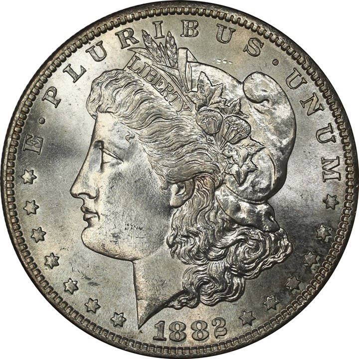 USA Morgan Dollar 1882 S Kv 0