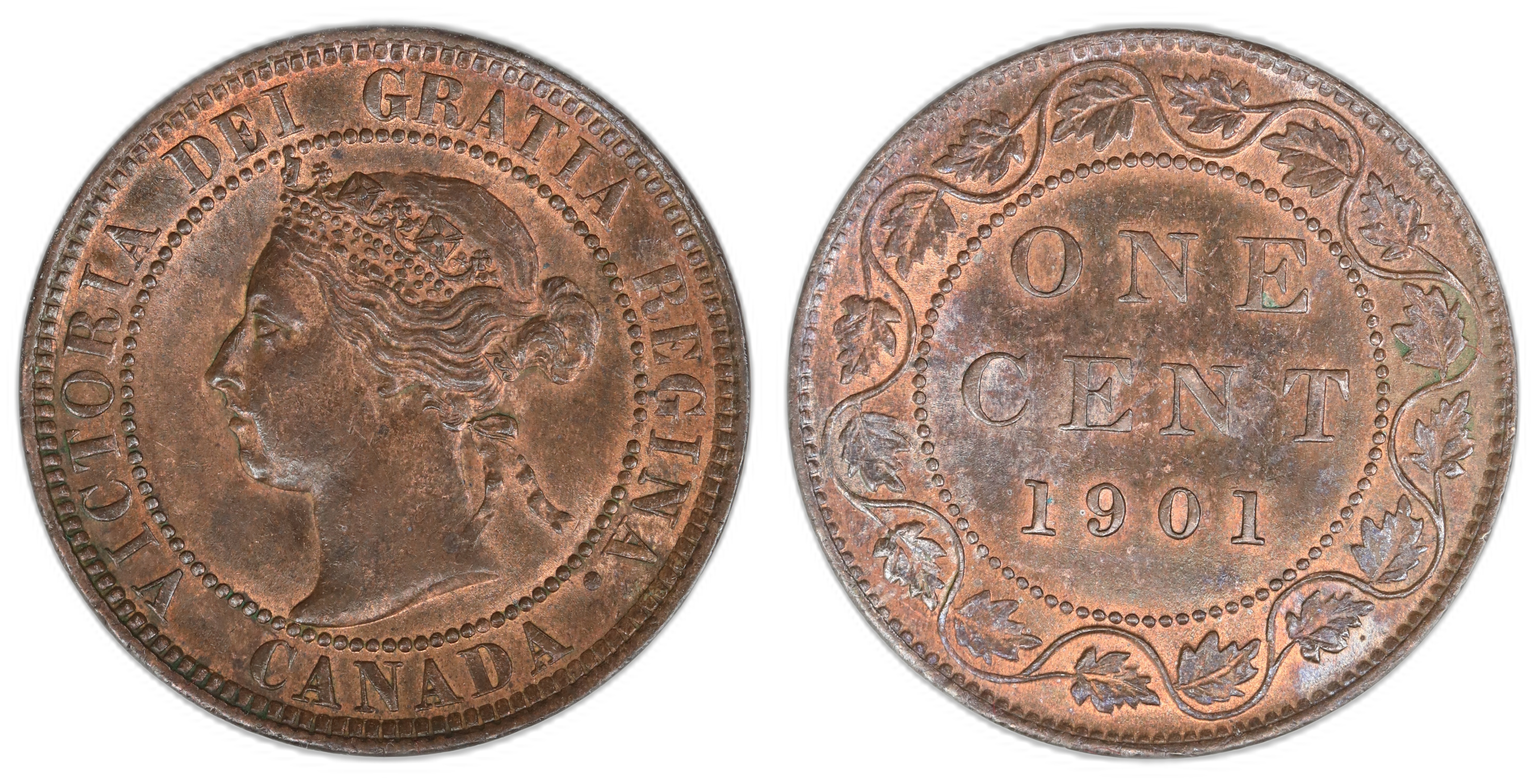 Canada Cent 1901  Kv: UNC