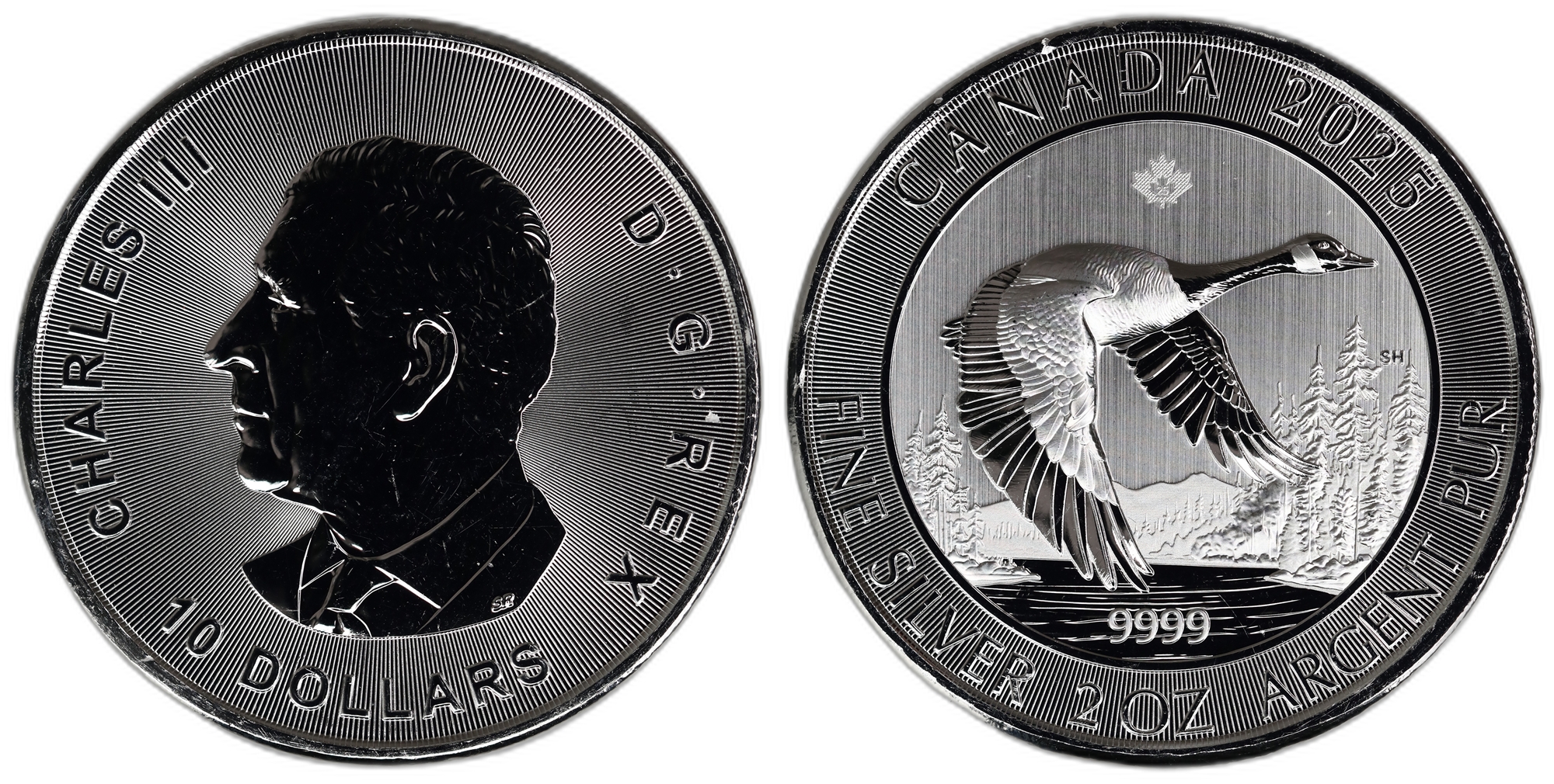Canada 10 Dollars 2025 Goose Kv: UNC