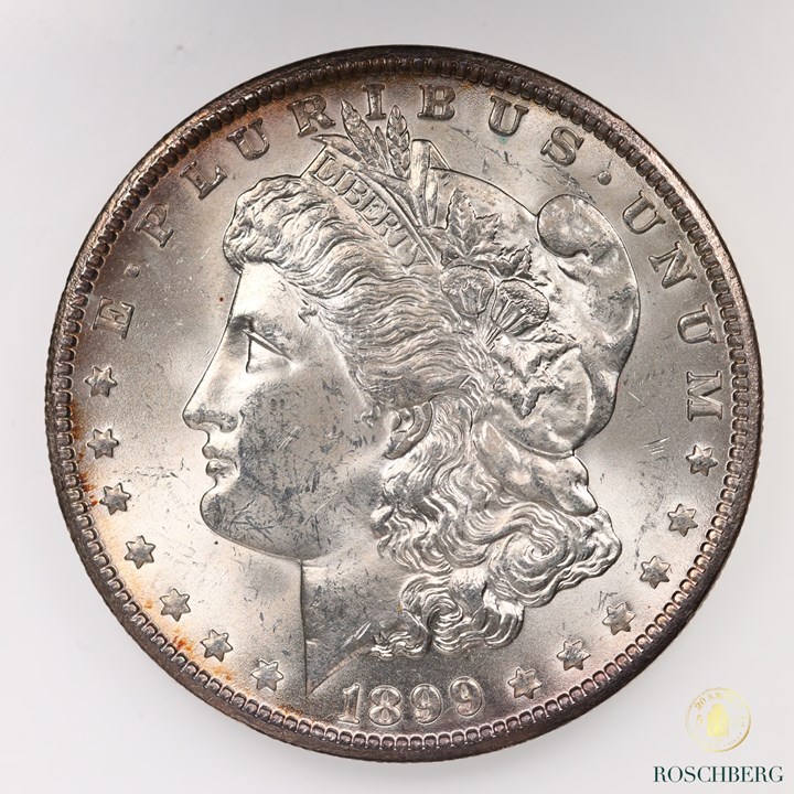 USA Dollar 1899-O Kv UNC