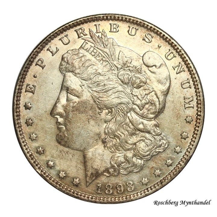 USA Dollar 1893 Kv 0/01, lett renset